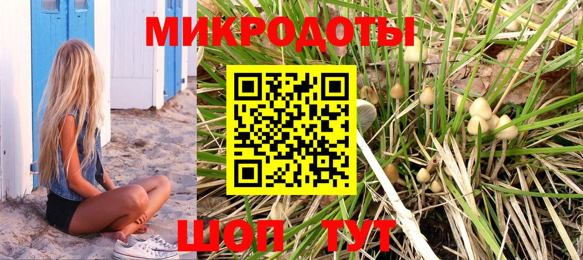 Бийск  Галлюциногенные грибы Psilocybine cubensis  Вход с VPN 